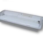 Noodverlichting Blueline LED 150Lm 1,6W Opbouw IP42 1u